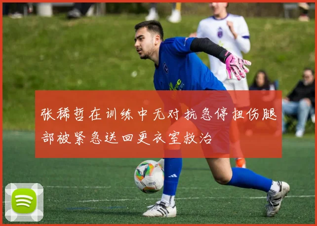 张稀哲在训练中无对抗急停扭伤腿部被紧急送回更衣室救治