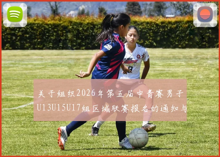 关于组织2026年第五届中青赛男子U13U15U17组区域联赛报名的通知与要求
